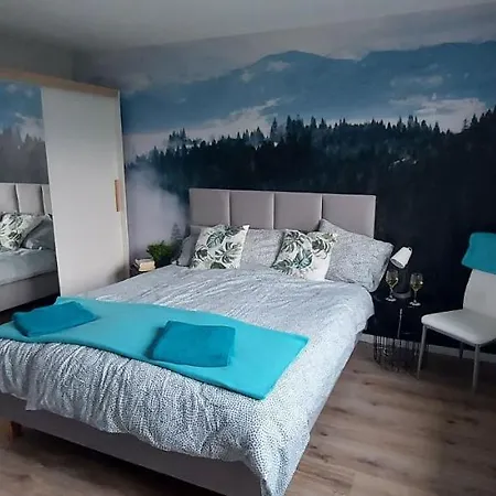 Apartamenty Montania Wisla Exterior photo
